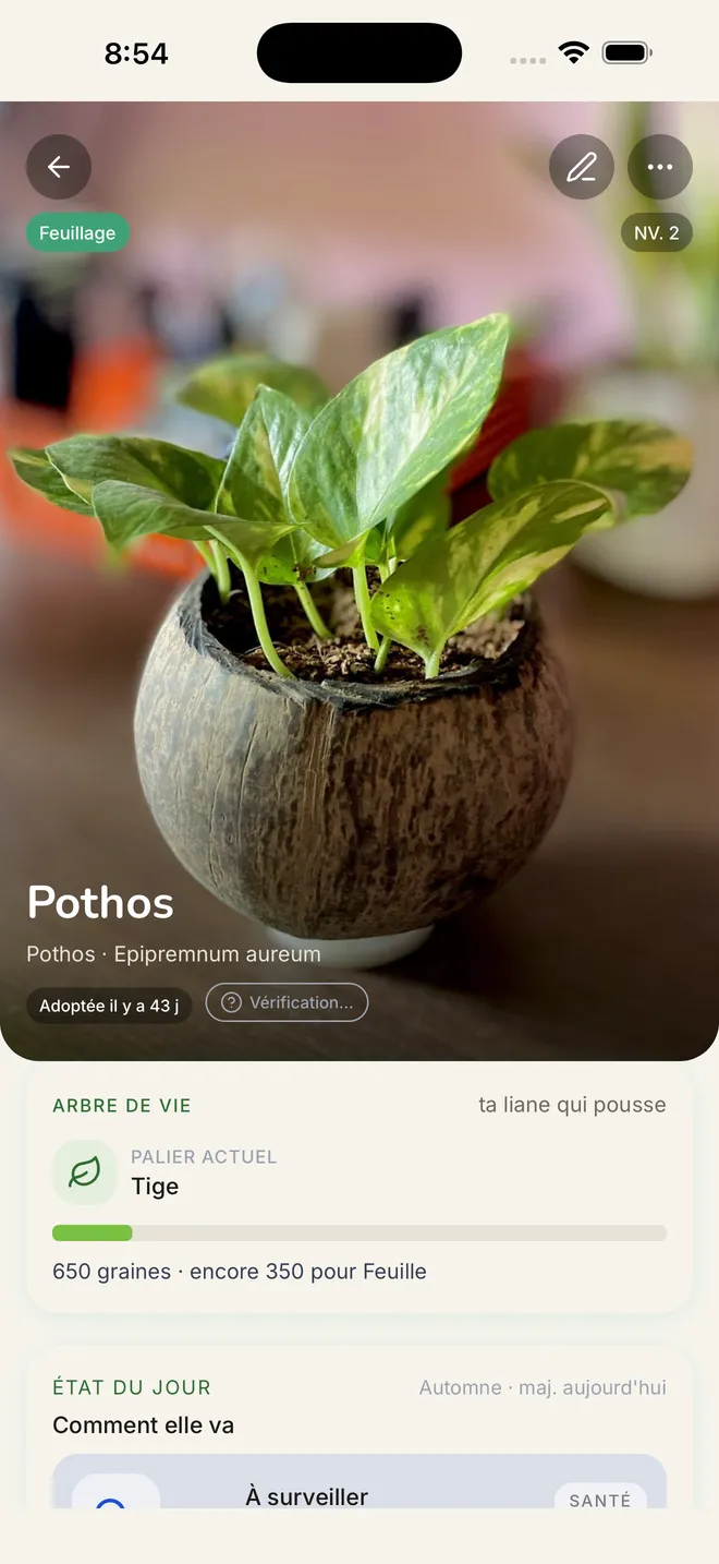 La fiche d'un Pothos dans GreenBuddy : son Arbre de Vie et son état du jour.